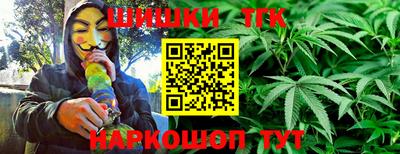гидра Нальчик