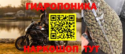гидра Нальчик